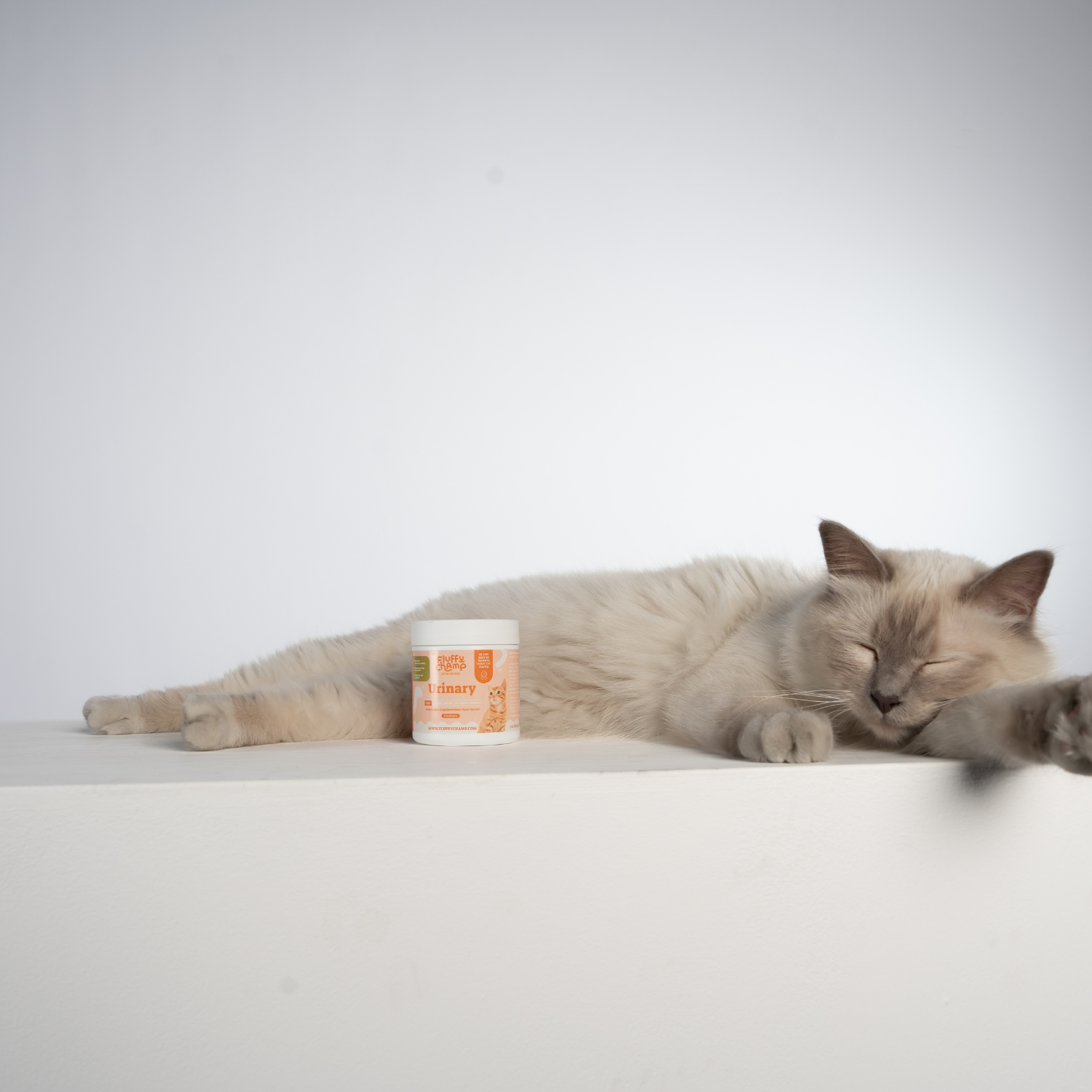 Kattenbakvulling kiezen: zo vind je de beste voor jouw kat