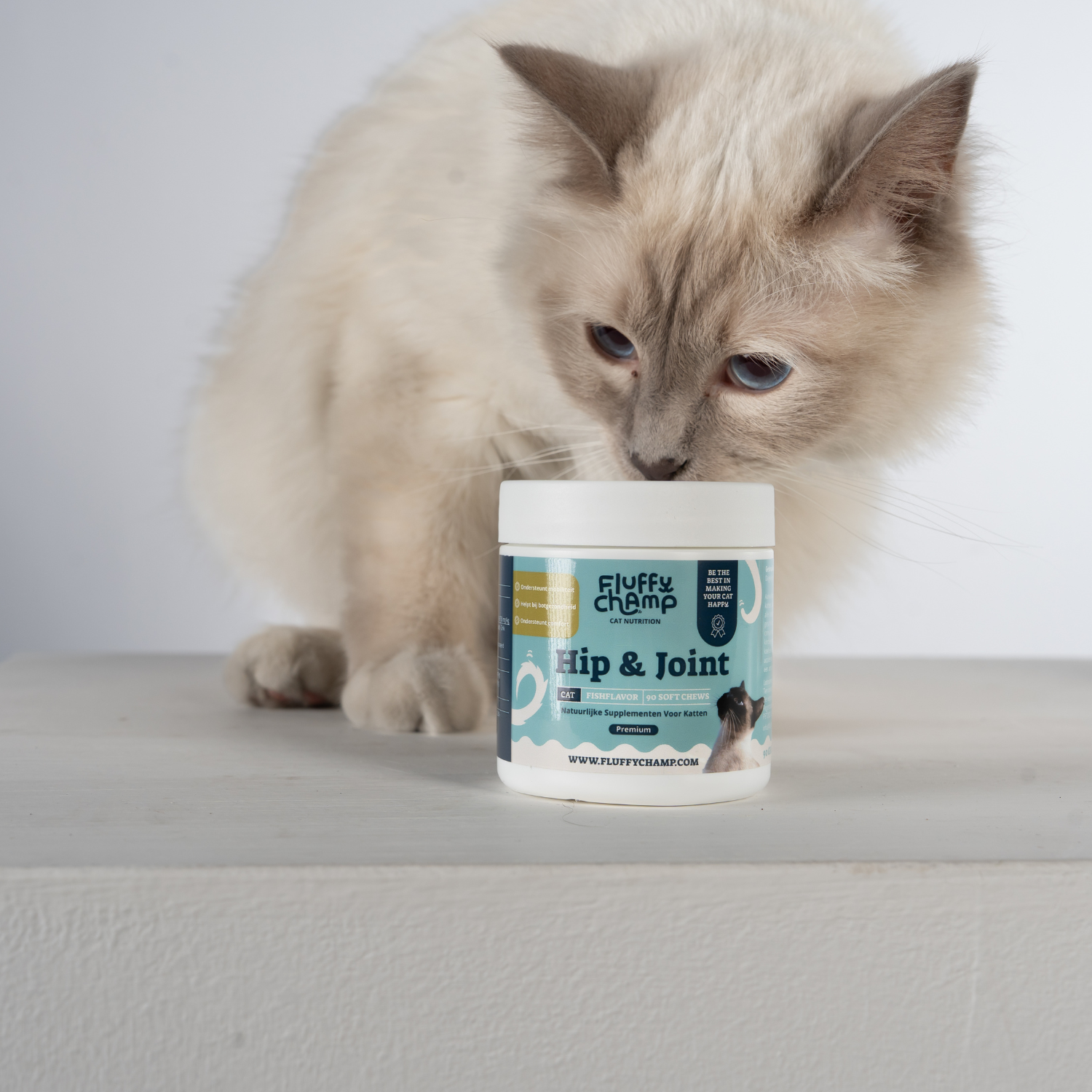 Kattenbenodigdheden checklist - Complete lijst + tips