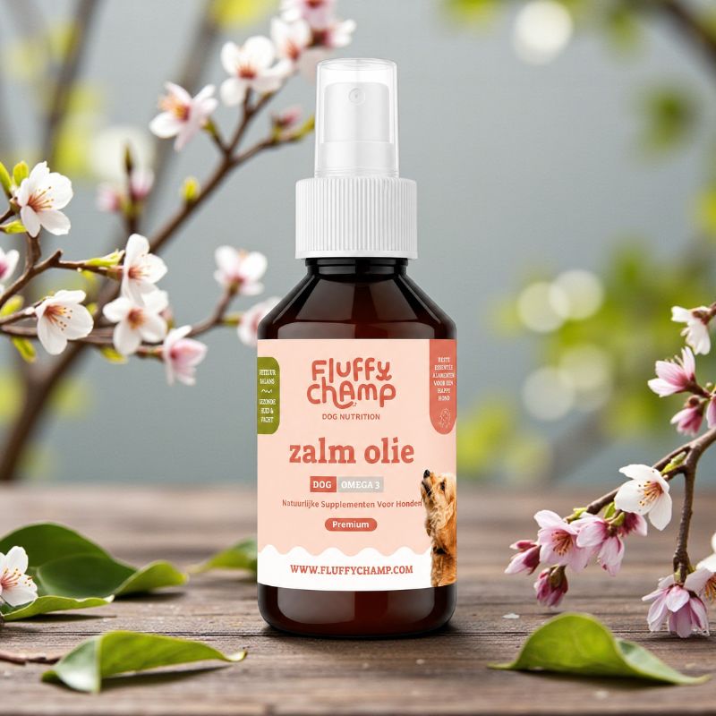 Zalm olie - 100 ml