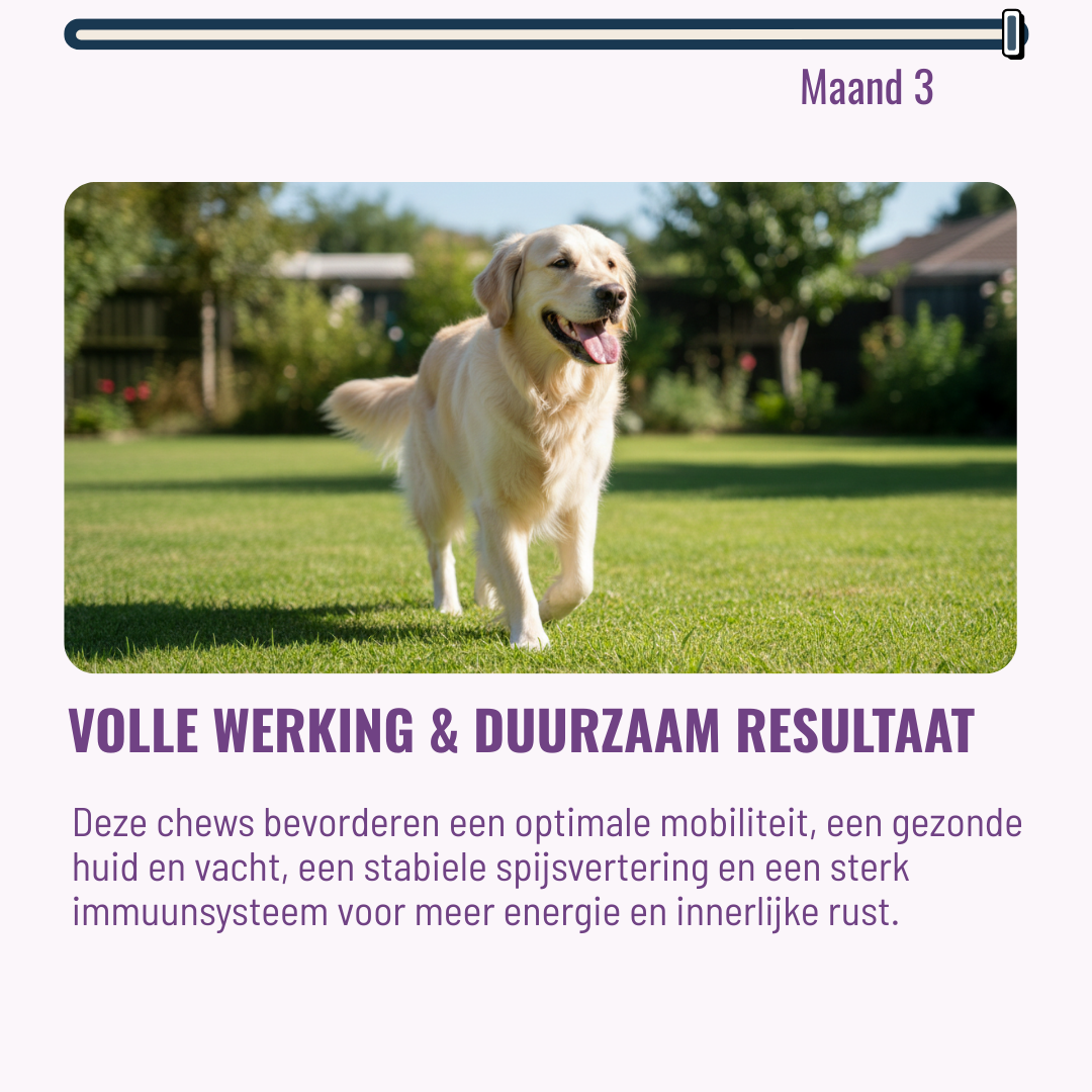 Calming Honden – 60 Kauwsnoepjes met Rundvlees