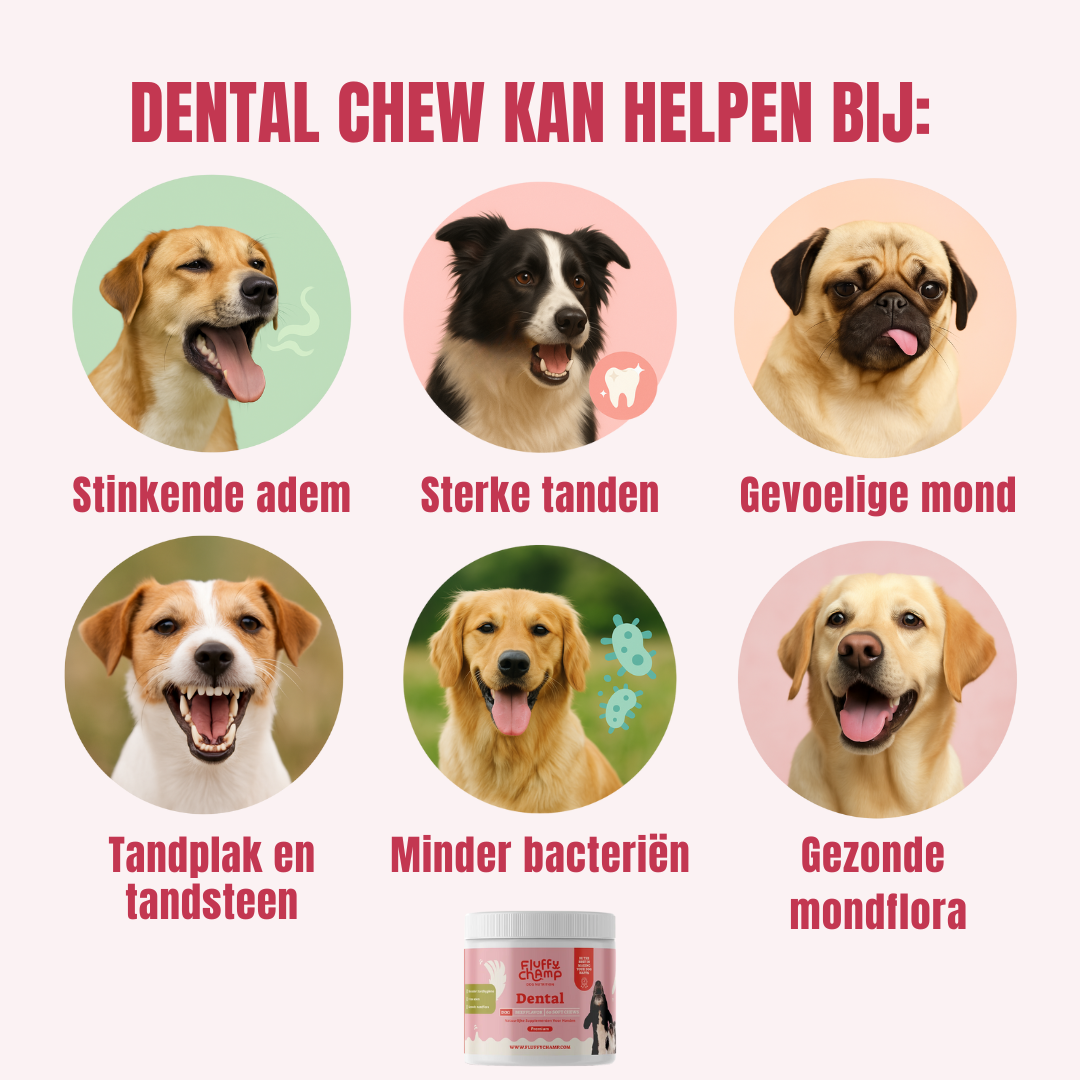 Dental Honden – 60 Kauwsnoepjes met Rundvlees