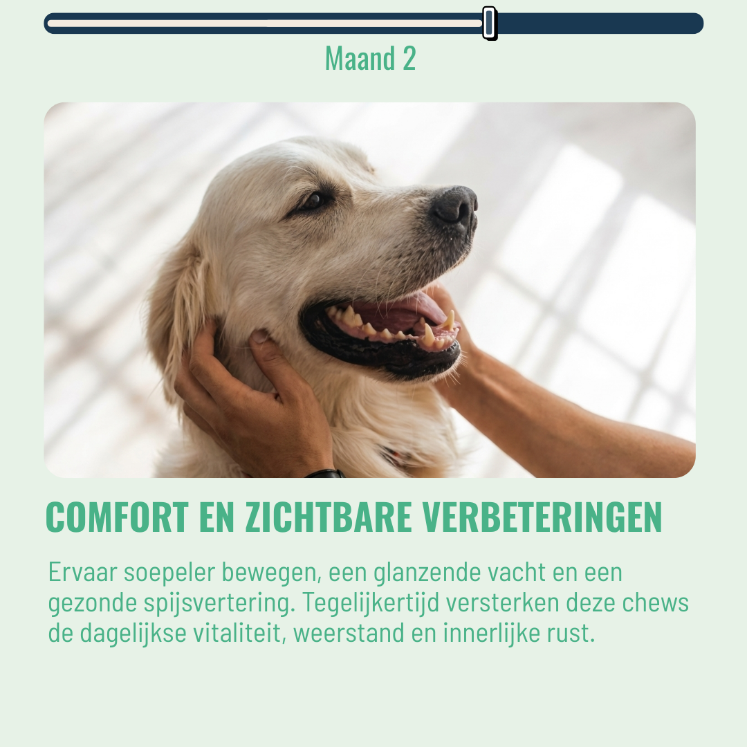 Probiotica Honden – 60 Kauwsnoepjes met Rundvlees