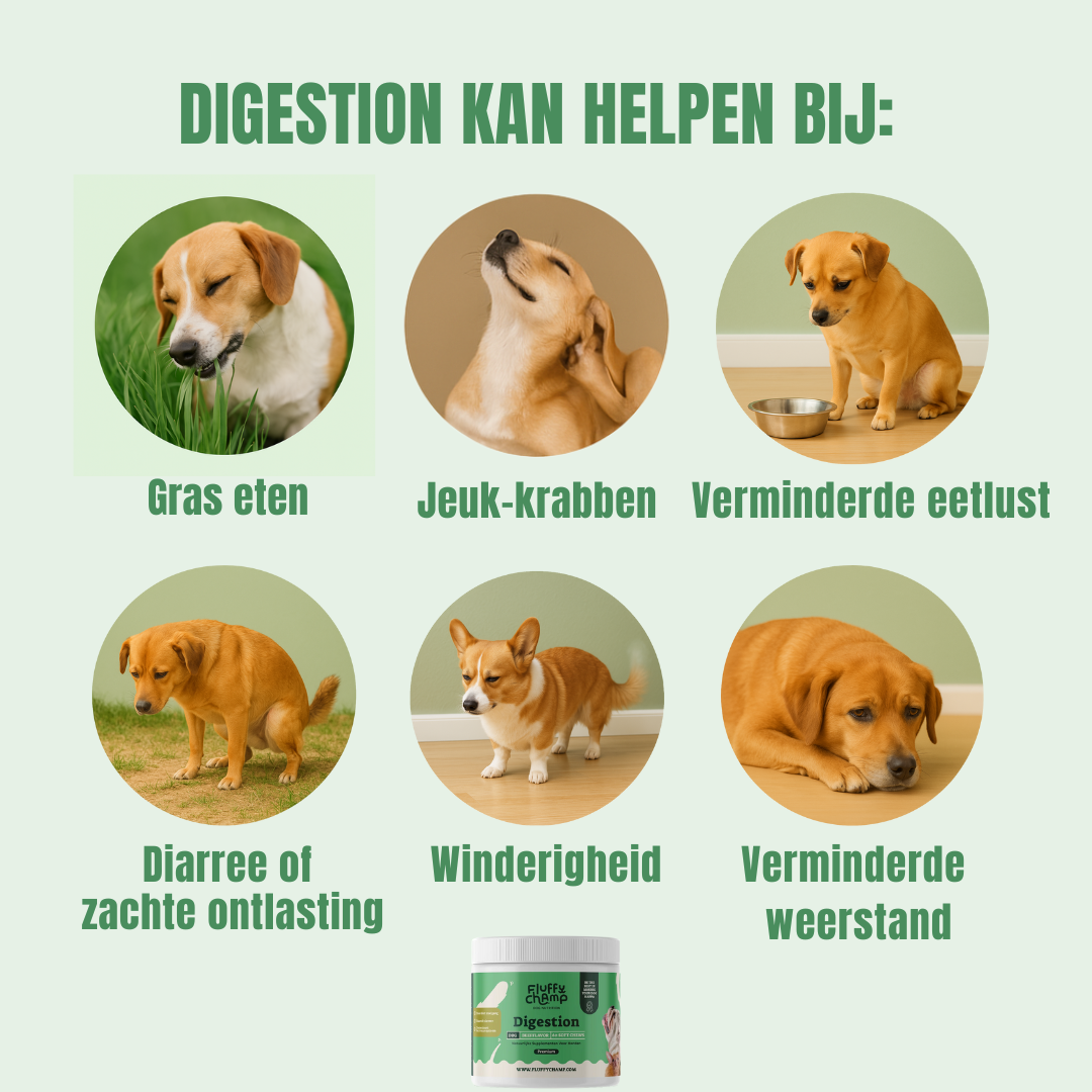 Probiotica Honden – 60 Kauwsnoepjes met Rundvlees