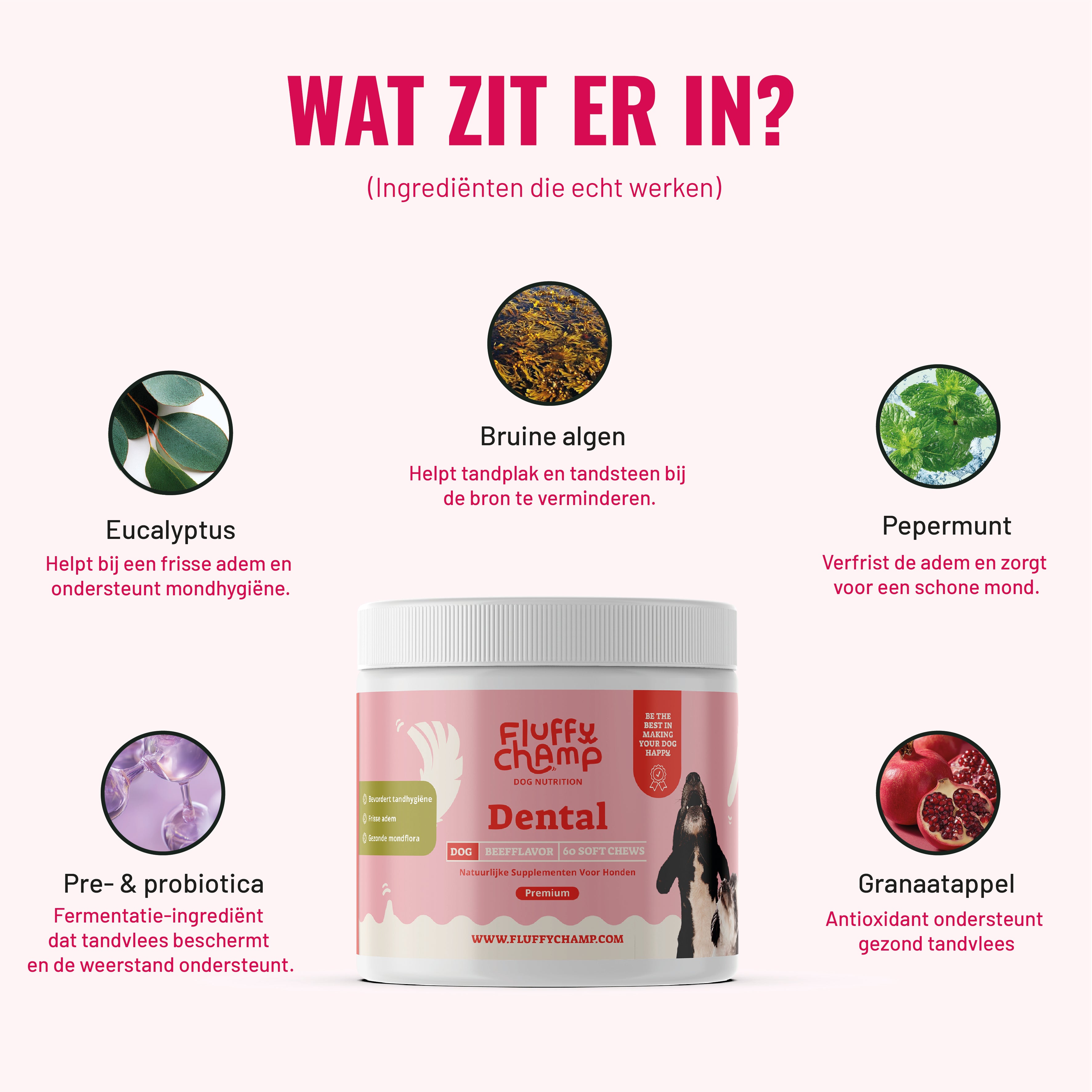 Dental Honden – 60 Kauwsnoepjes met Rundvlees