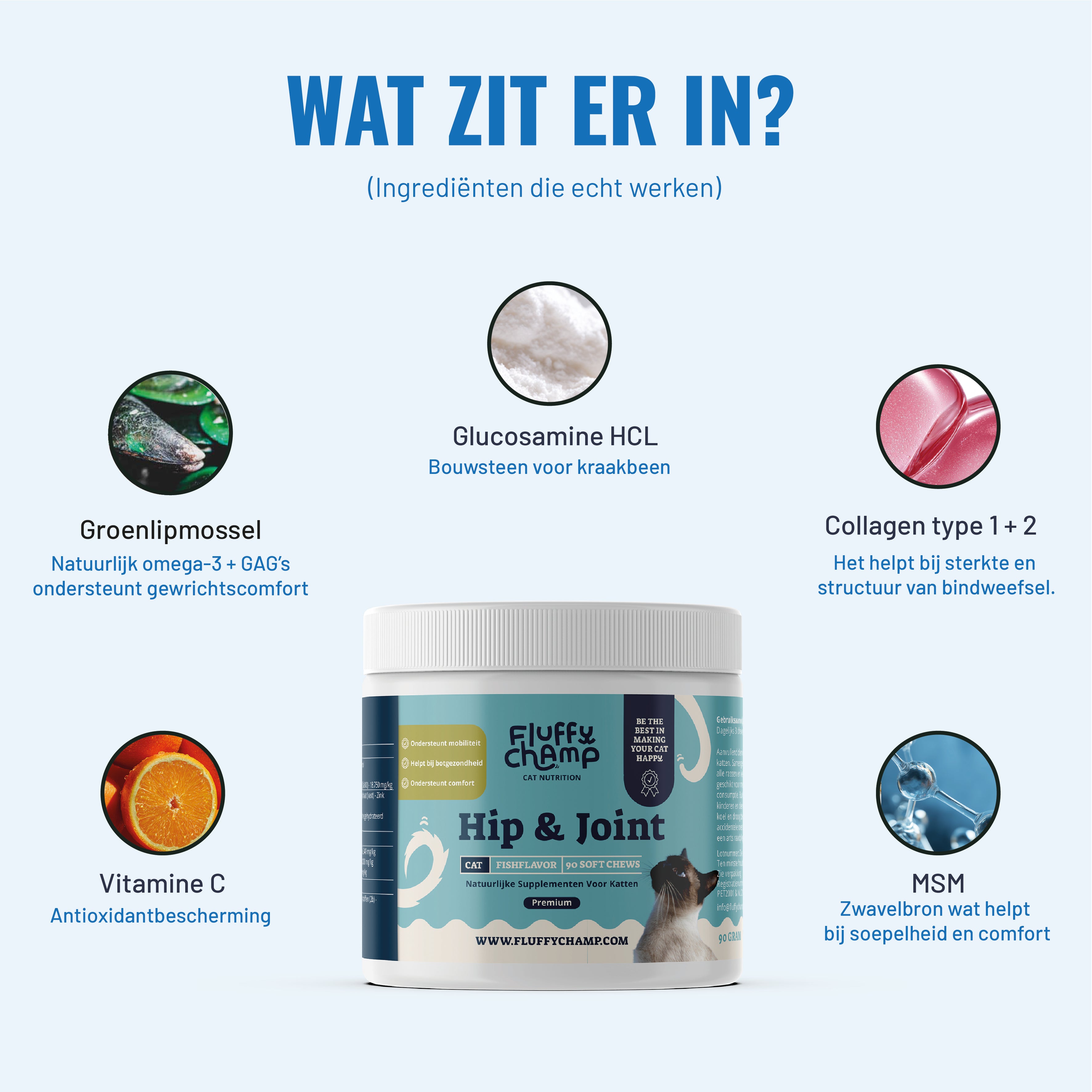 Hip & Joint Katten – 90 Kauwsnoepjes