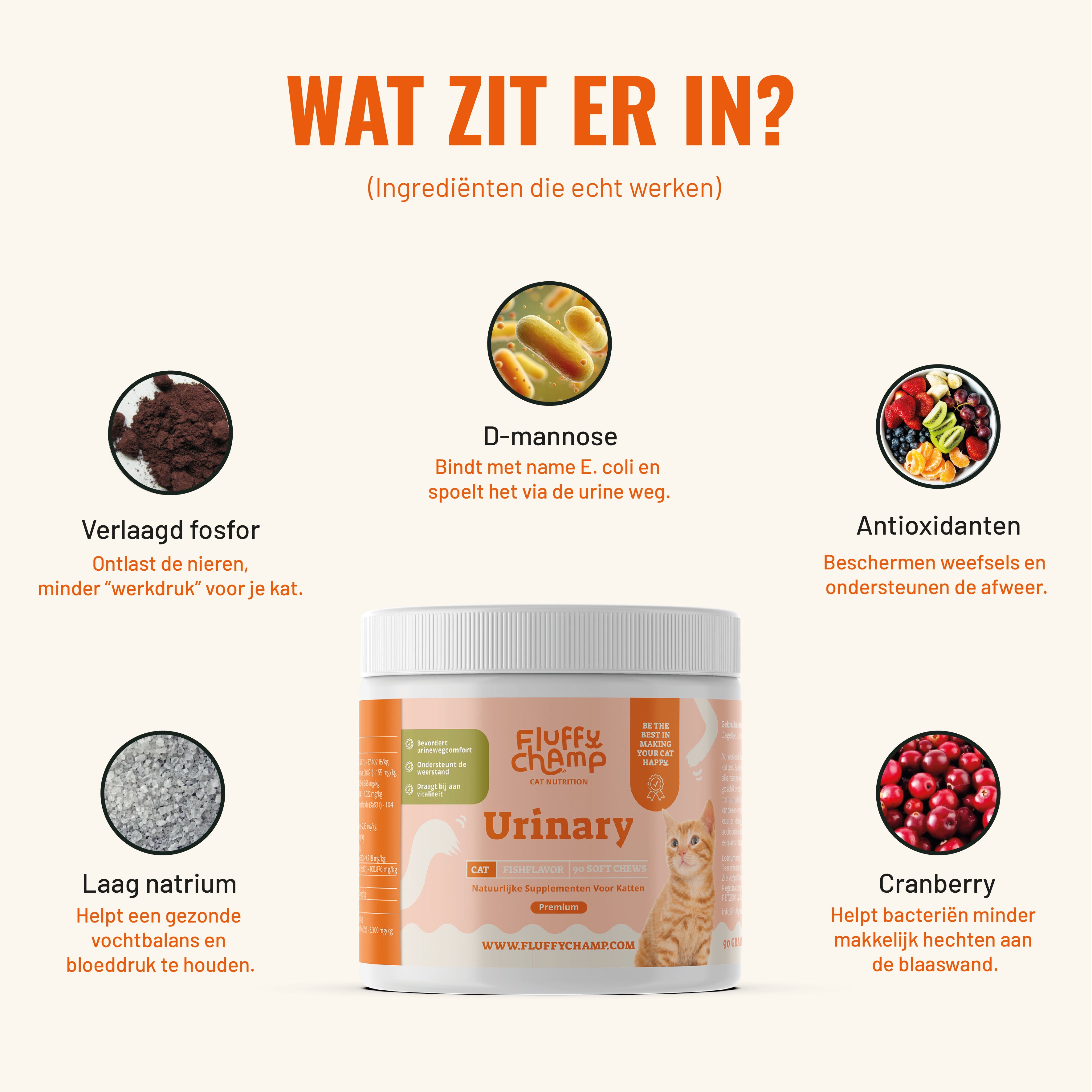 Urinary Katten – 90 Kauwsnoepjes met Vis