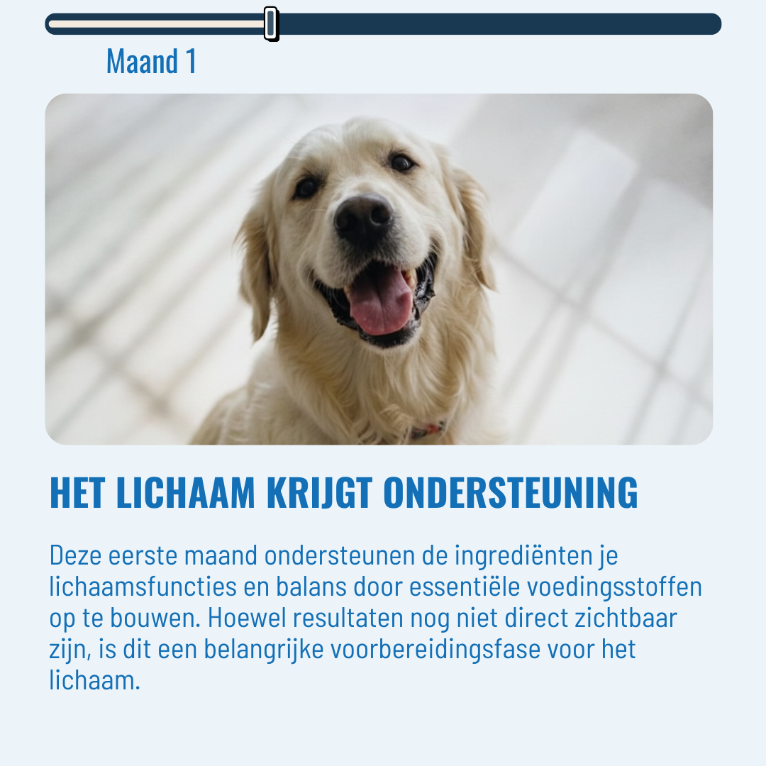 Hip & Joint Honden – 60 Kauwsnoepjes met Rundvlees