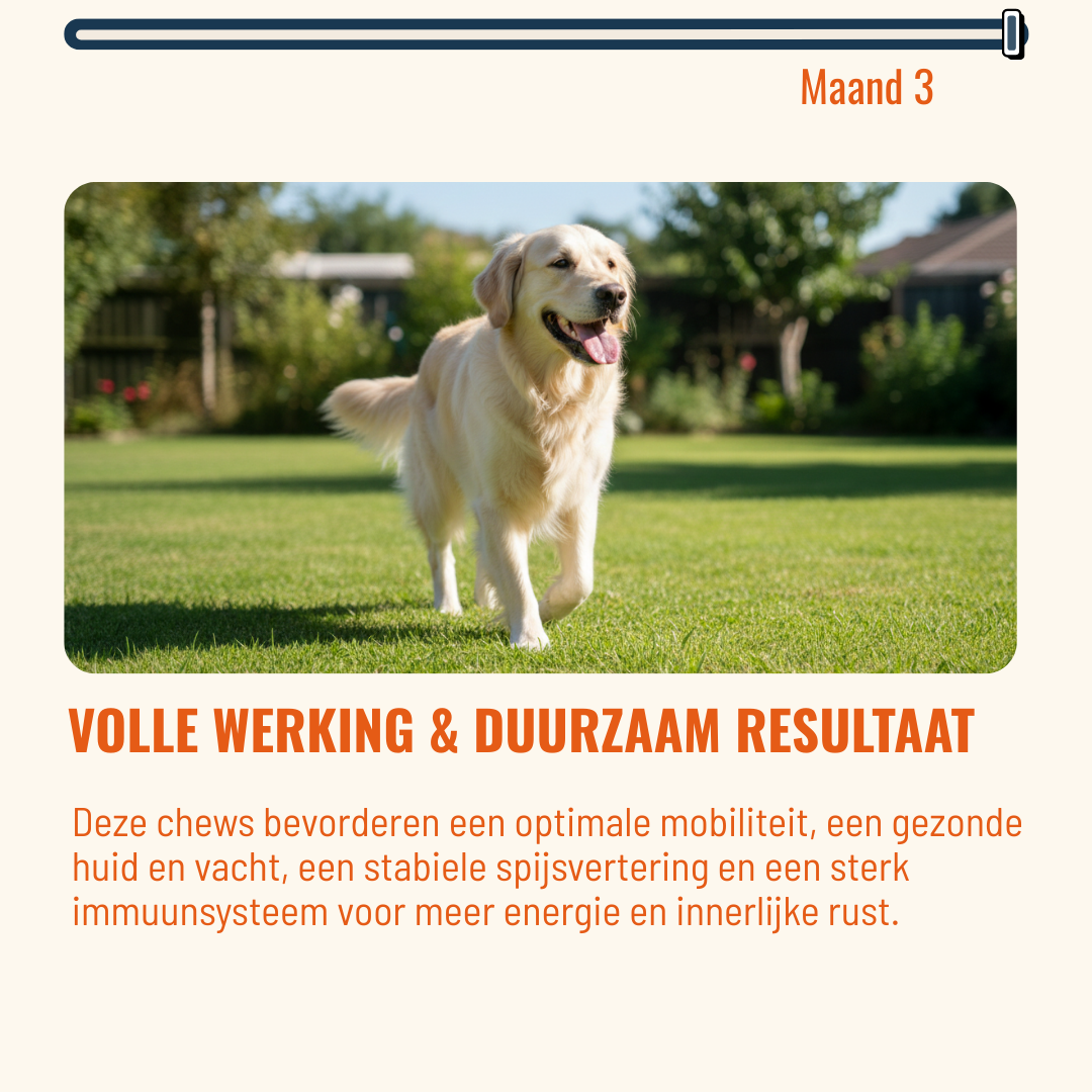 Skin & Coat Honden – 60 Kauwsnoepjes met Rundvlees