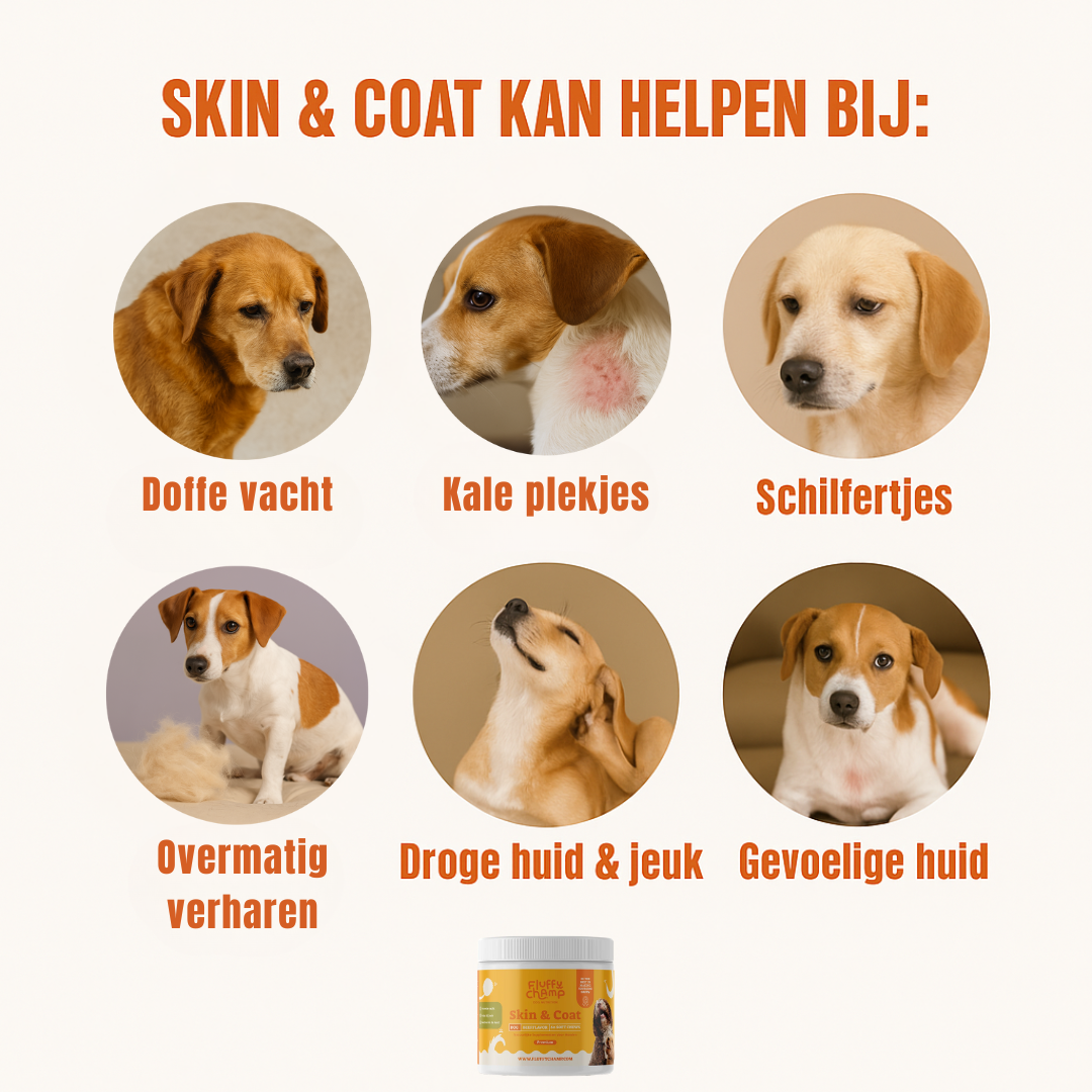 Skin & Coat Honden – 60 Kauwsnoepjes met Rundvlees