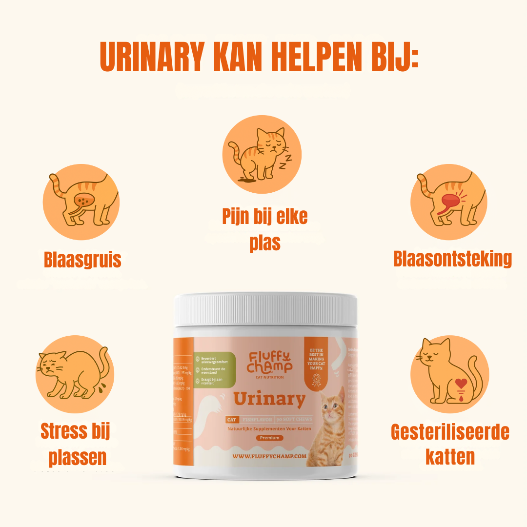 Urinary Katten – 90 Kauwsnoepjes met Vis