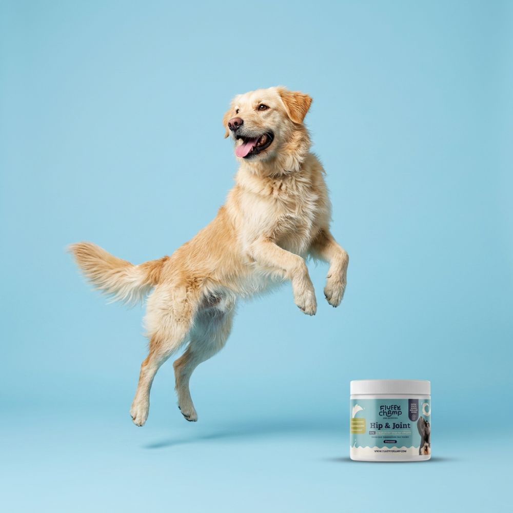 Hüfte & Gelenke – 60 Hunde Kauartikel - Reich an Glucosamin & Grünlippmuschel