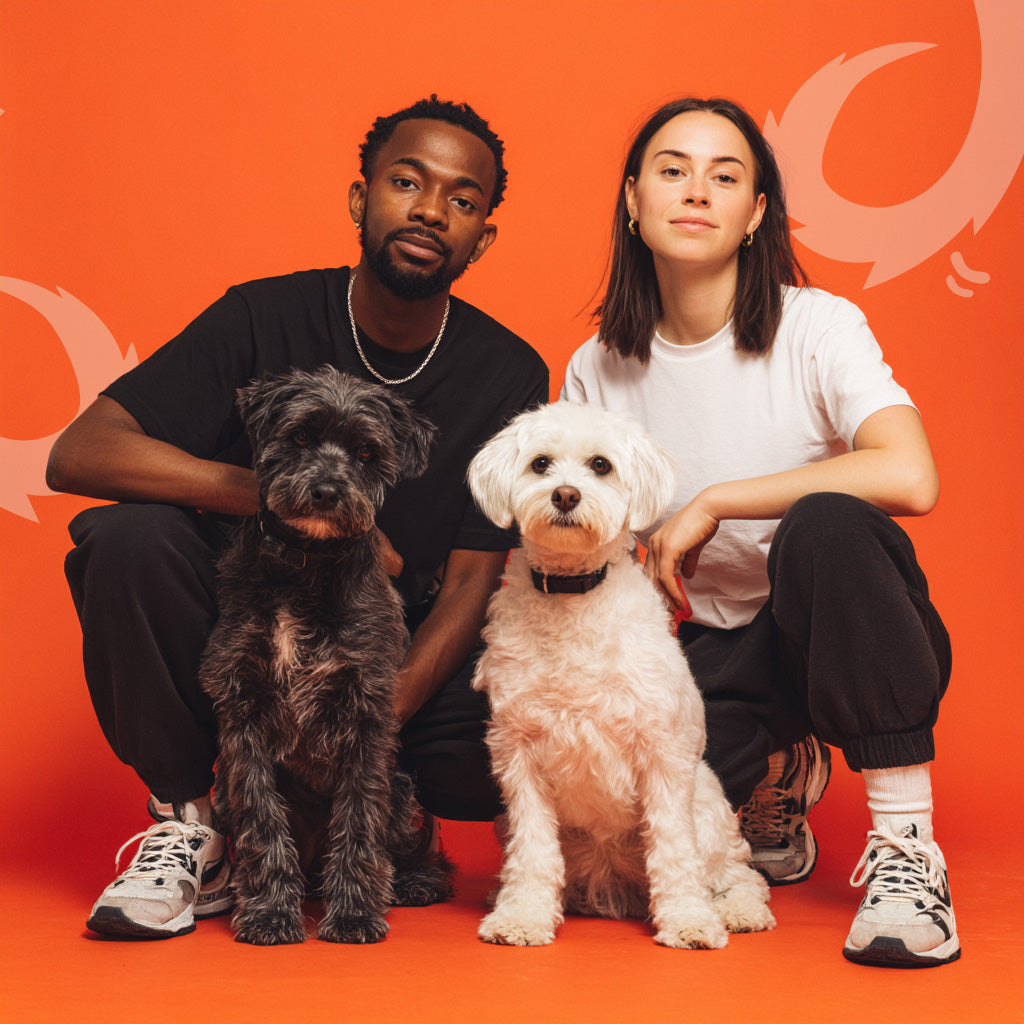 Allergieën bij honden: Herkennen, begrijpen & liefdevol helpen