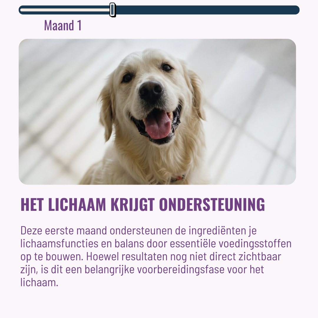 Calming Honden – 60 Kauwsnoepjes met Rundvlees