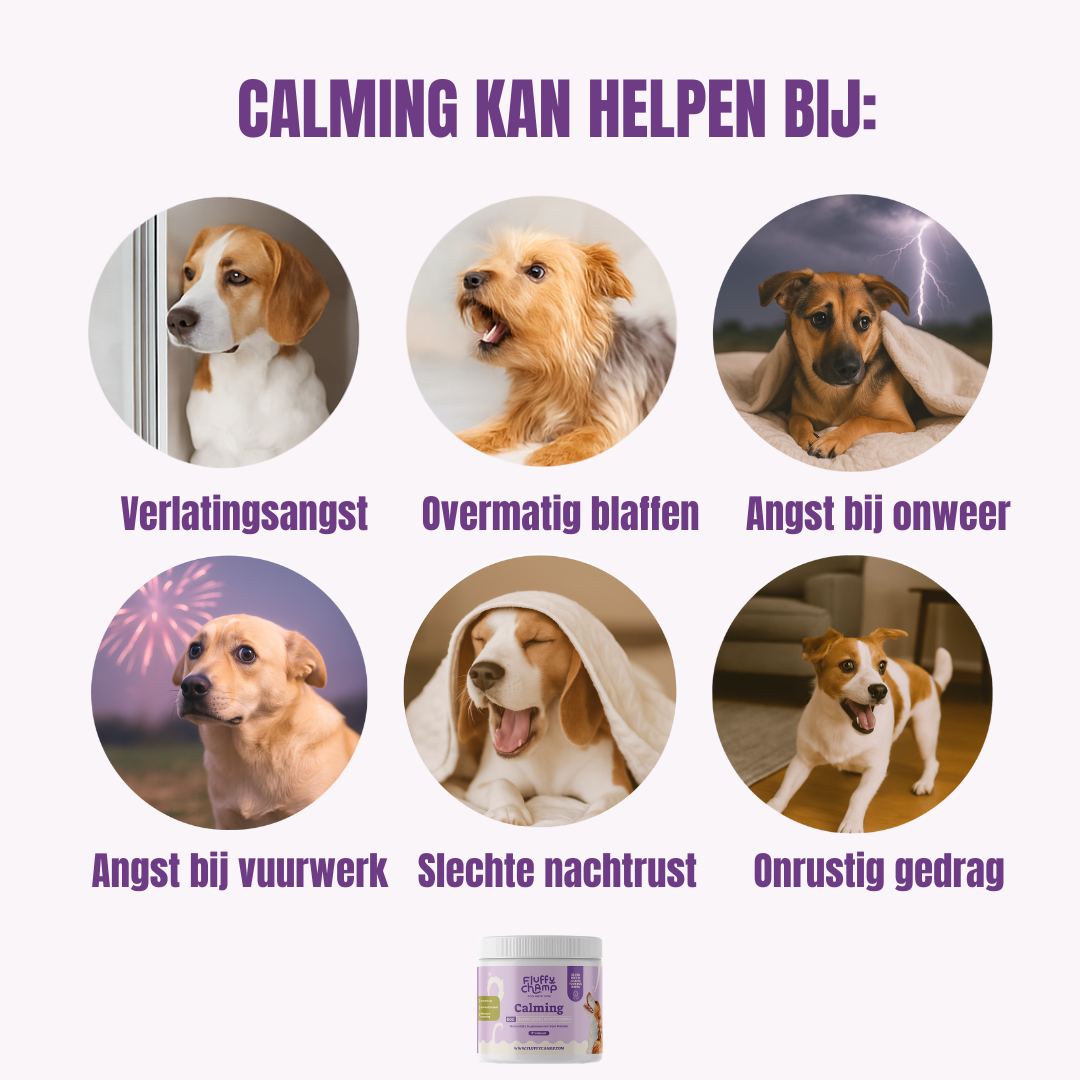 Calming Honden – 60 Kauwsnoepjes met Rundvlees
