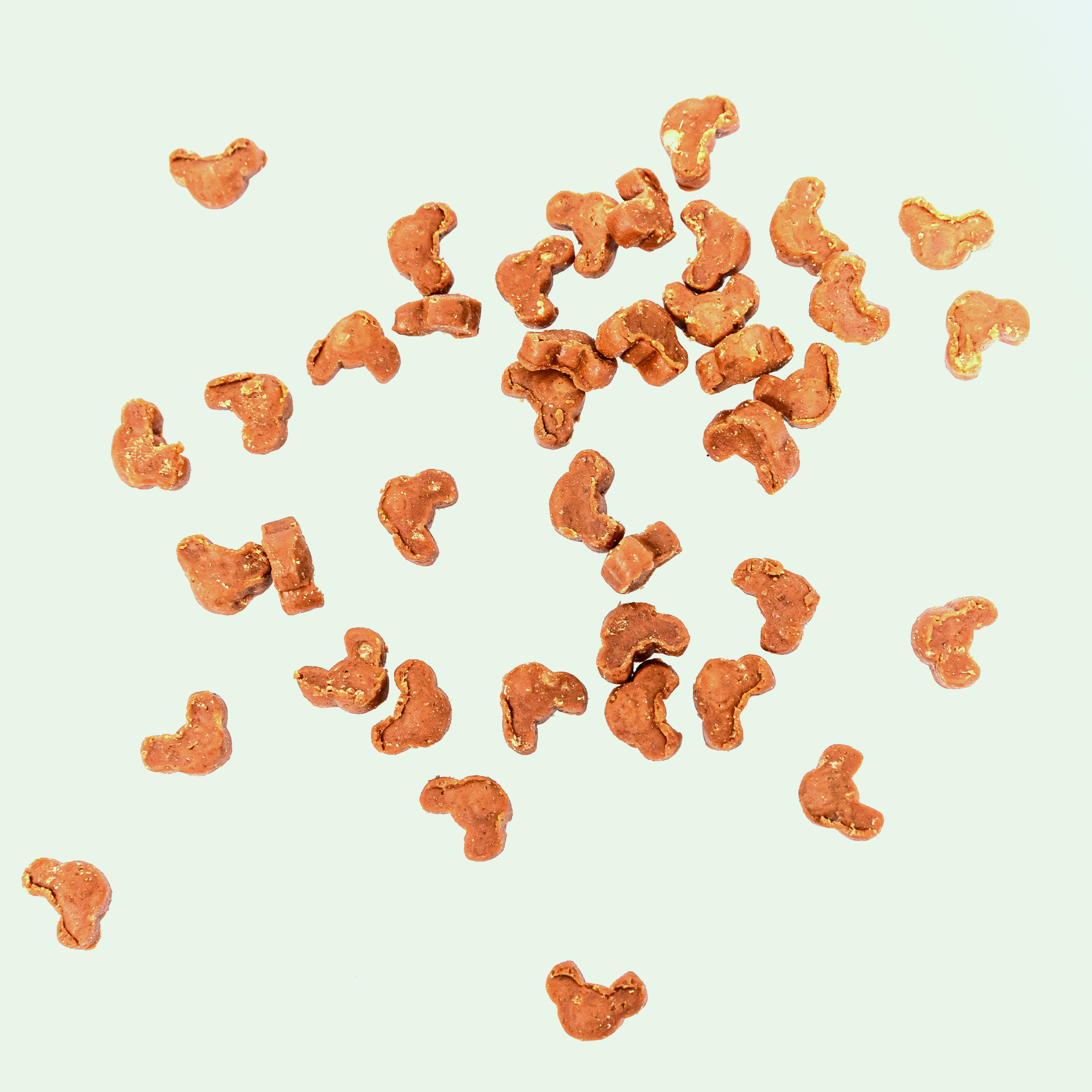 Probiotica Katten – 90 Kauwsnoepjes met Vis