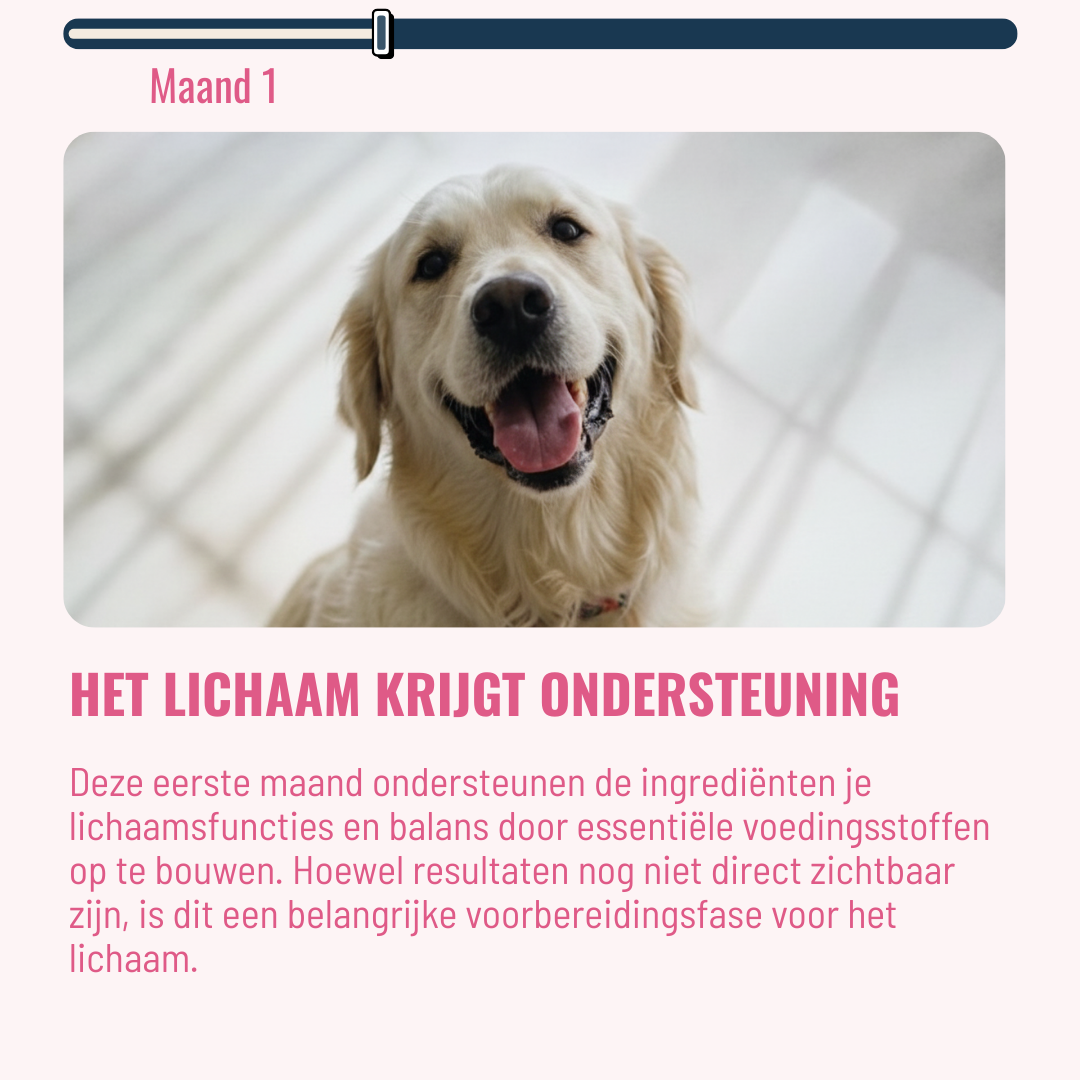 Dental Honden – 60 Kauwsnoepjes met Rundvlees