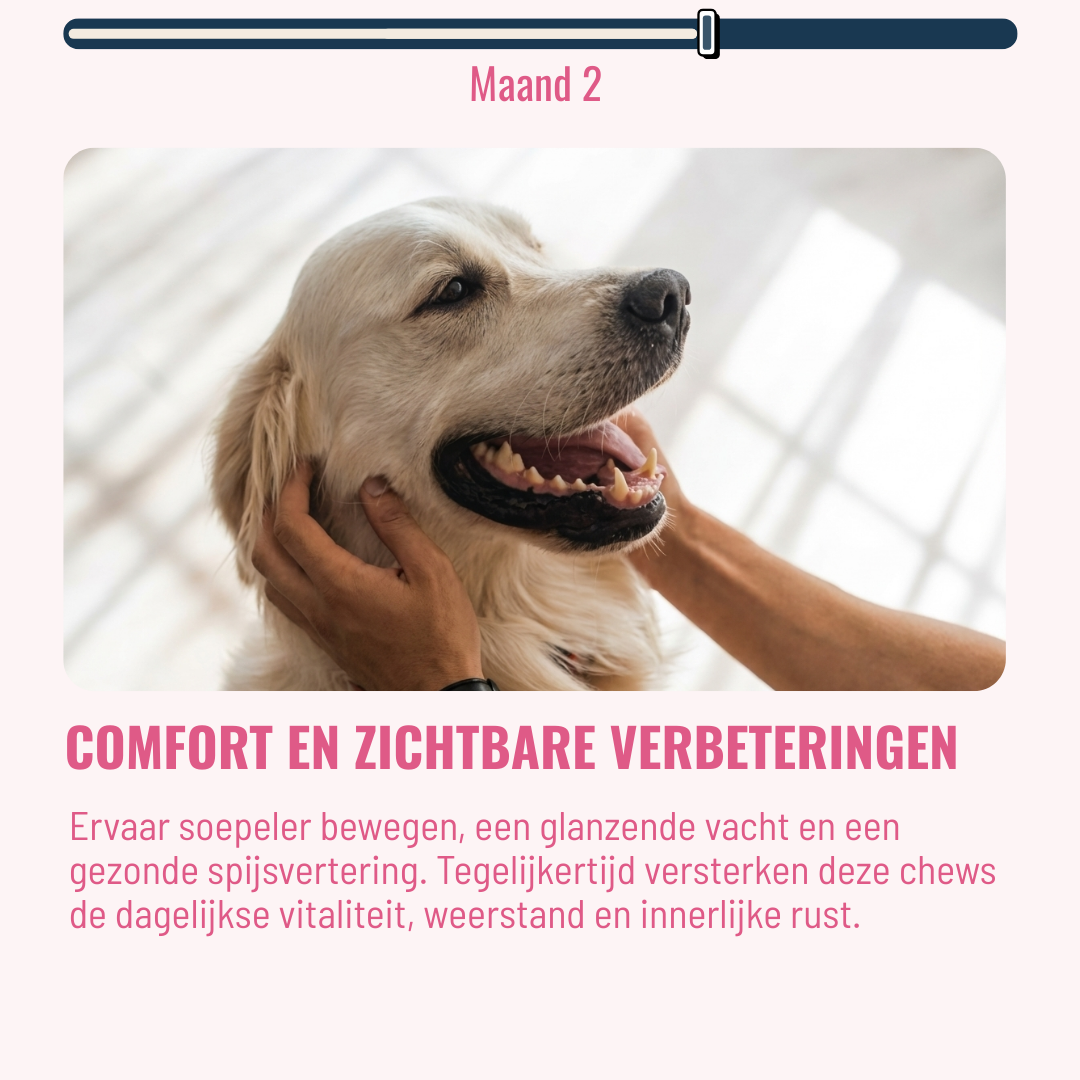 Dental Honden – 60 Kauwsnoepjes met Rundvlees