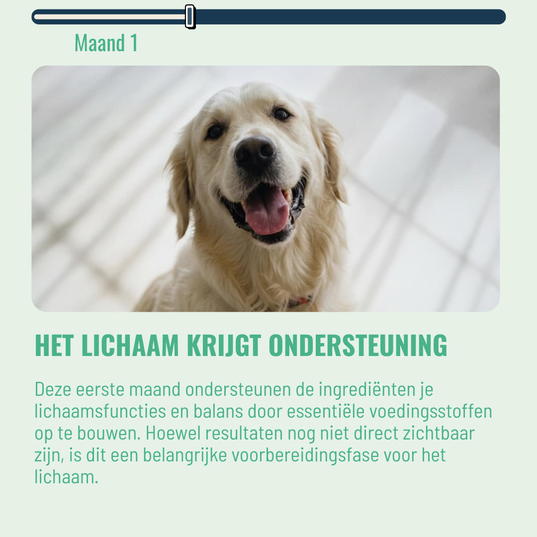Probiotica Honden – 60 Kauwsnoepjes met Rundvlees