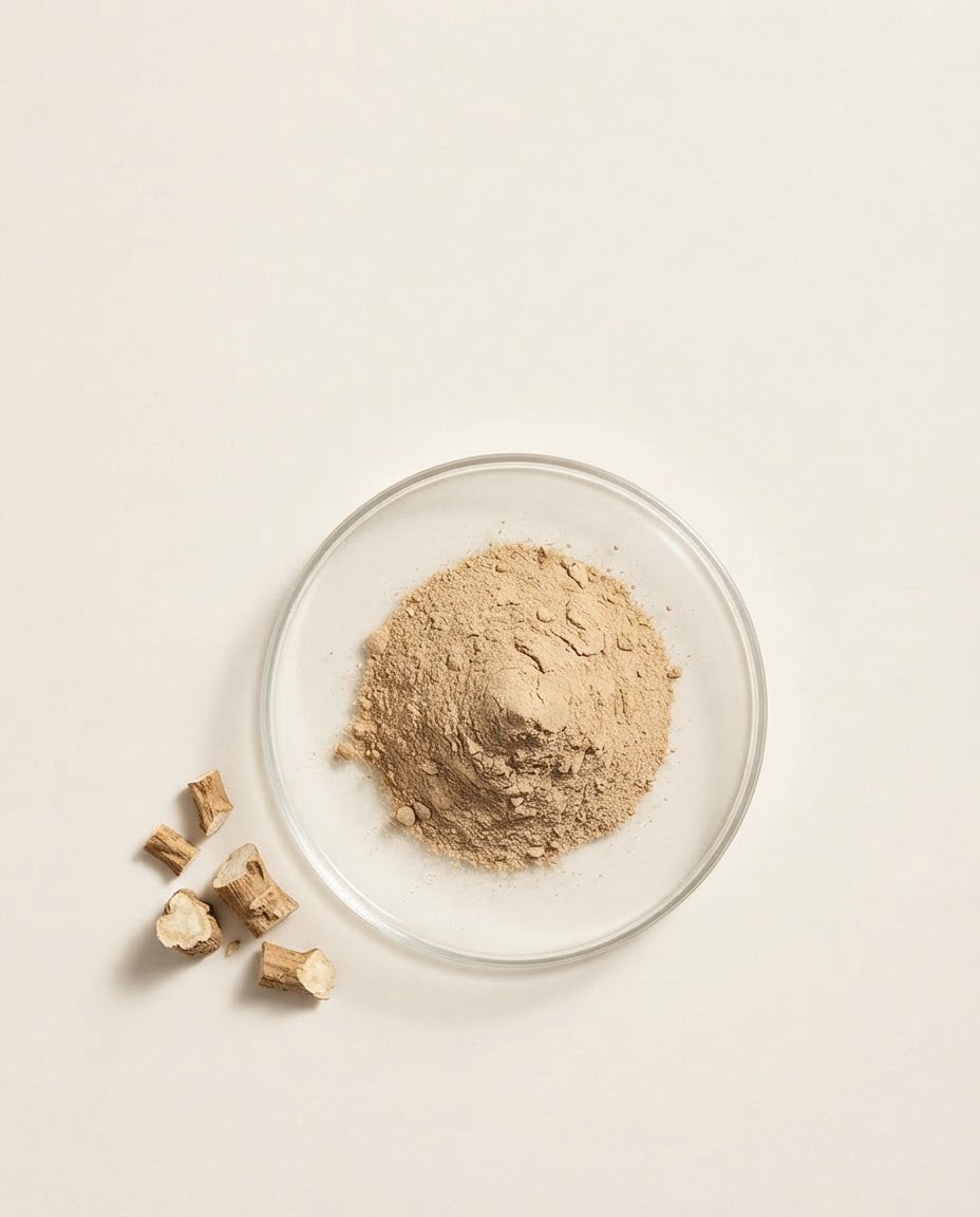 Cichoreiwortel
