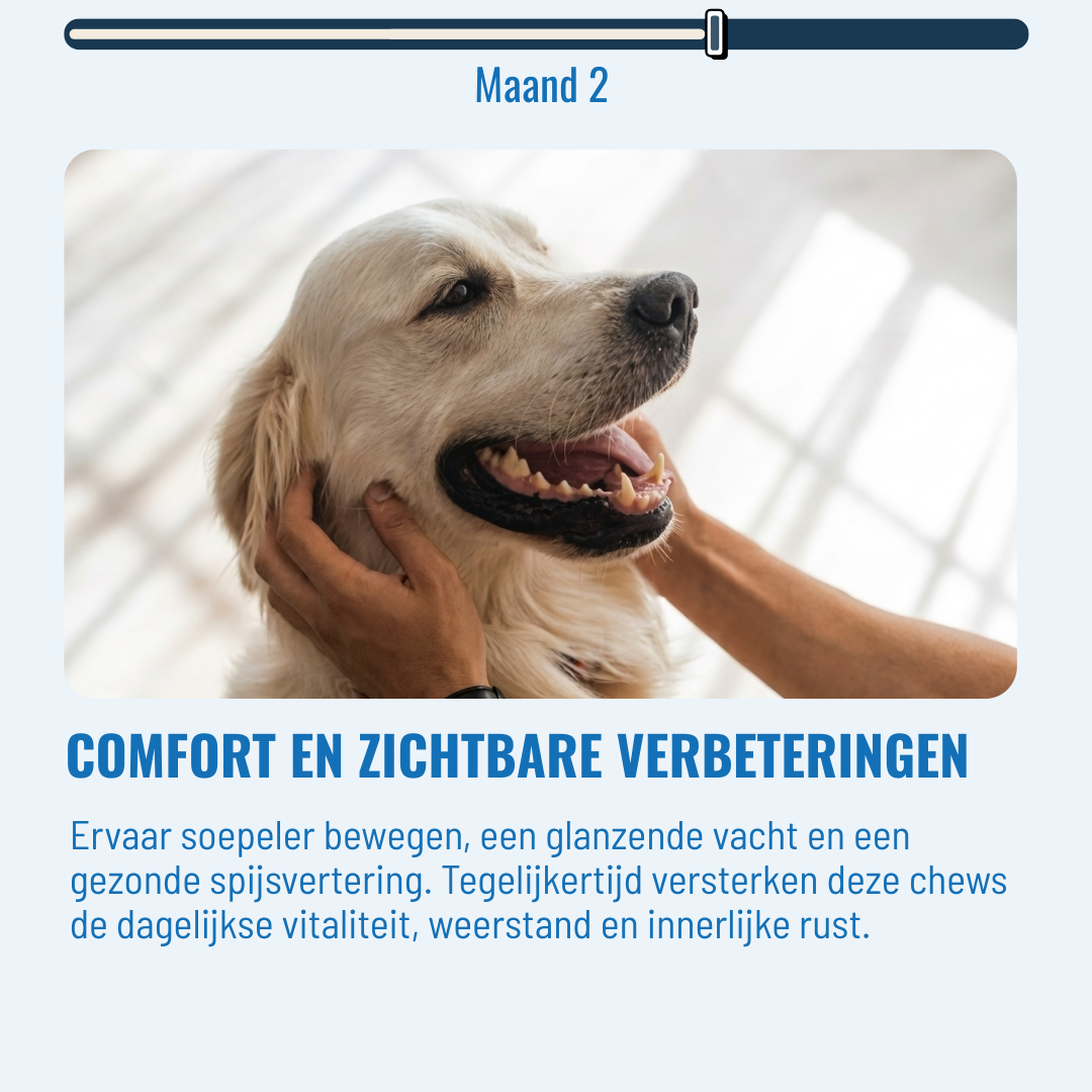 Hip & Joint Honden – 60 Kauwsnoepjes met Rundvlees