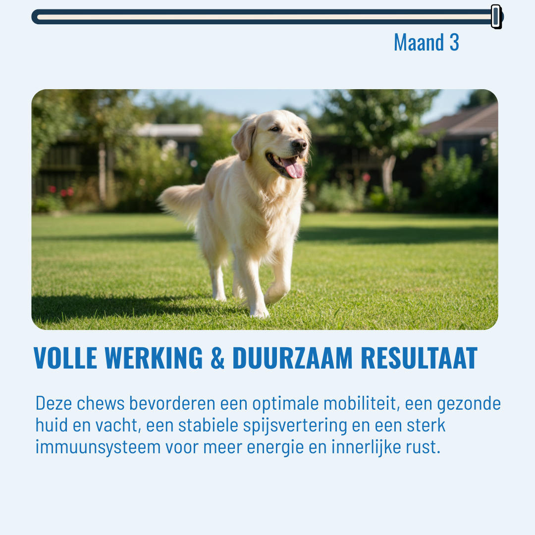 Hip & Joint Honden – 60 Kauwsnoepjes met Rundvlees