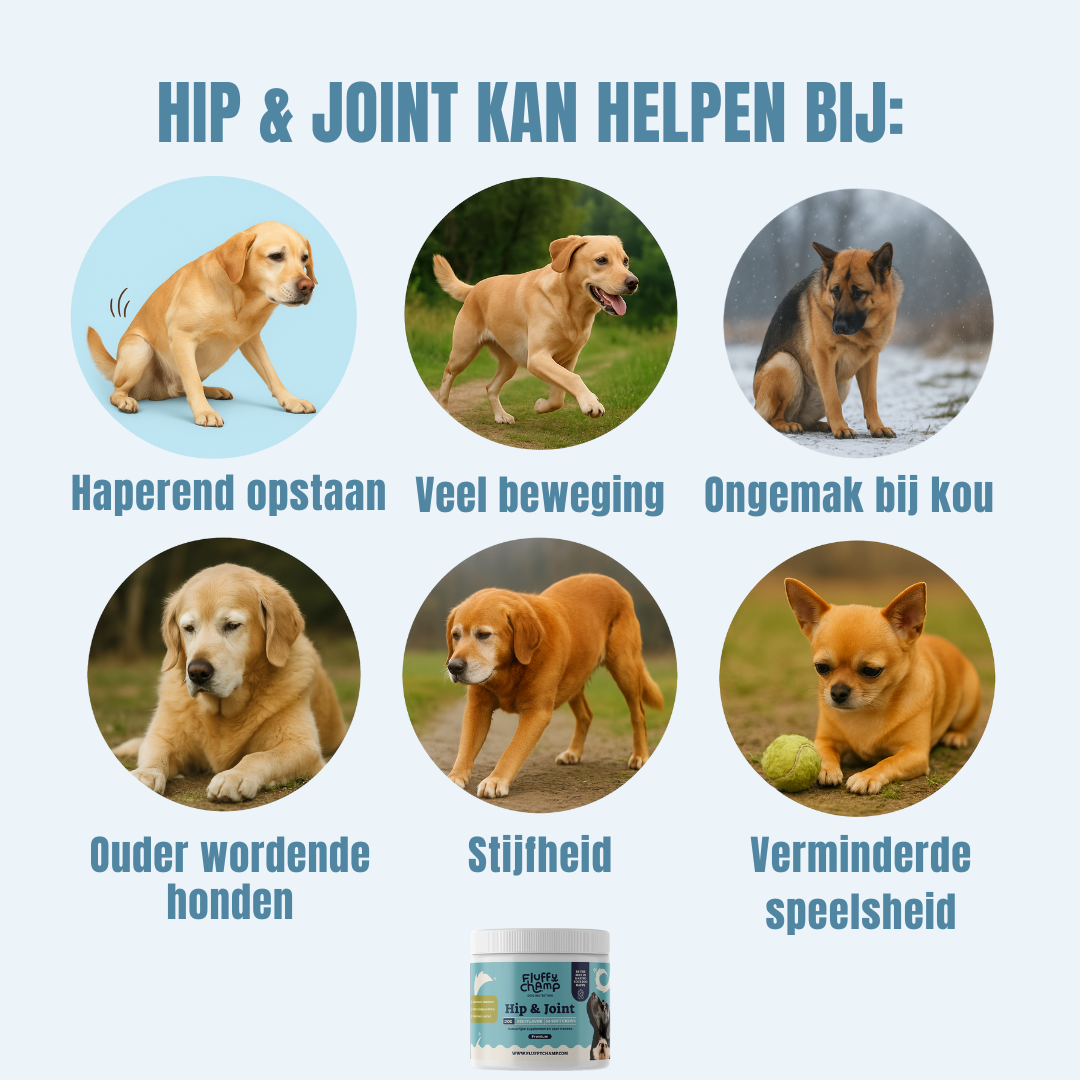 Hip & Joint Honden – 60 Kauwsnoepjes met Rundvlees