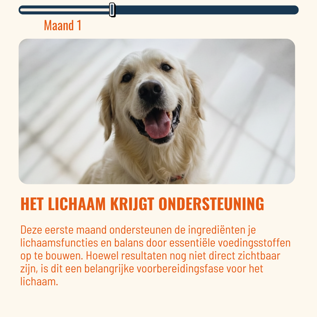 Skin & Coat Honden – 60 Kauwsnoepjes met Rundvlees
