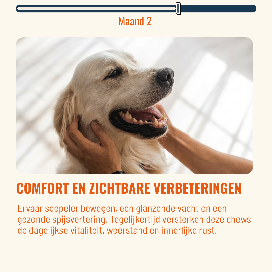 Skin & Coat Honden – 60 Kauwsnoepjes met Rundvlees