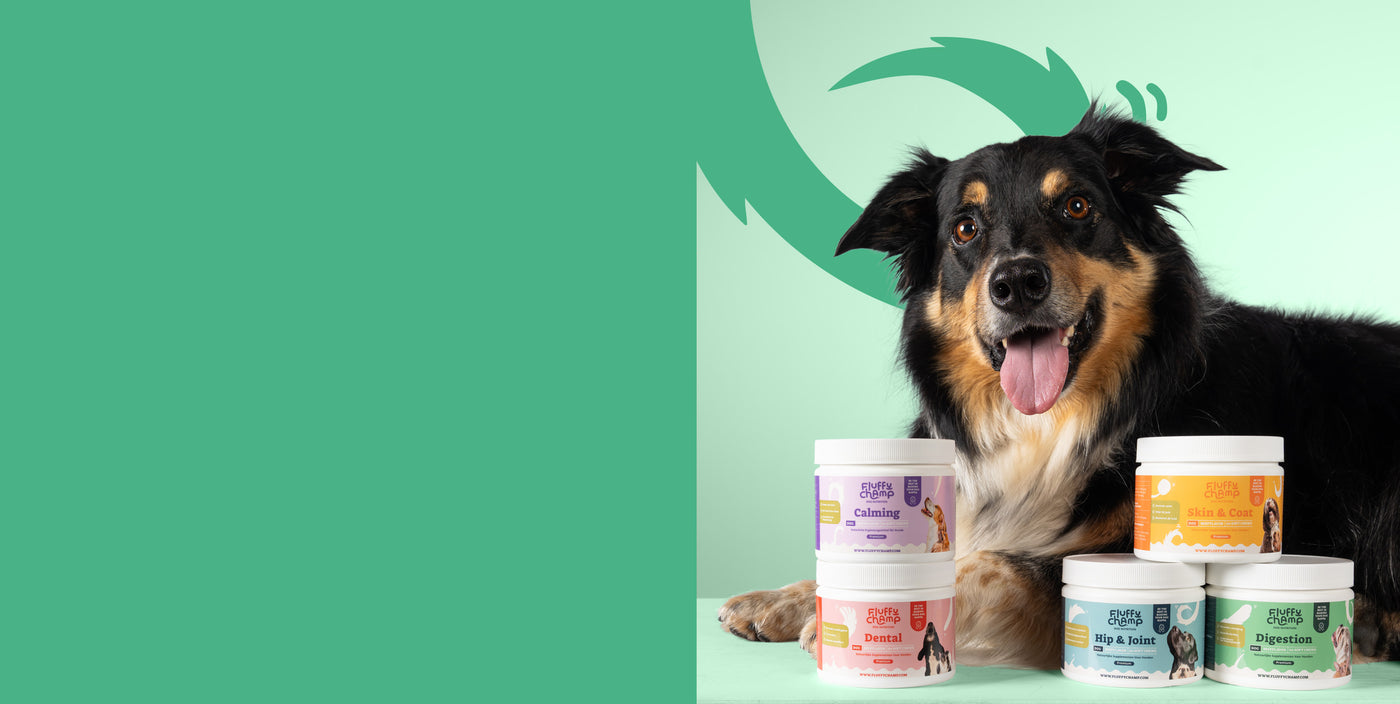 Natuurlijke oplossingen voor honden en katten