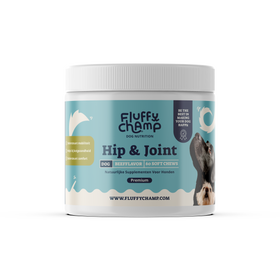 Hip & Joint